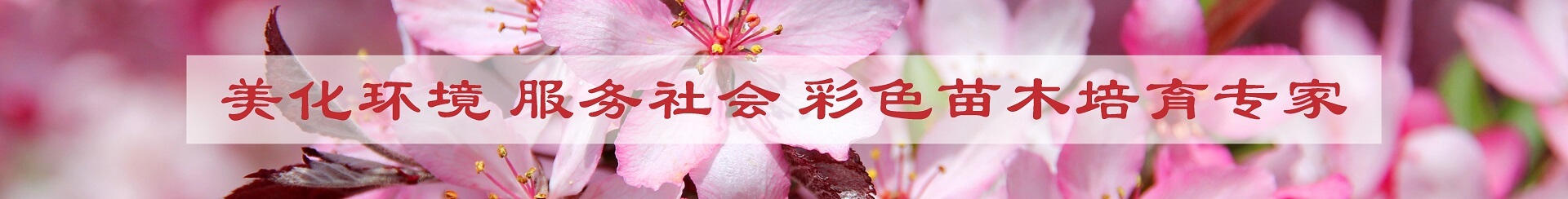 復(fù)合軟管近年來